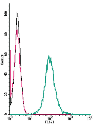 Cell surface detection of Angiotensin II receptor type-2 by indirect flow cytometry in live intact mouse J774 macrophage cells: