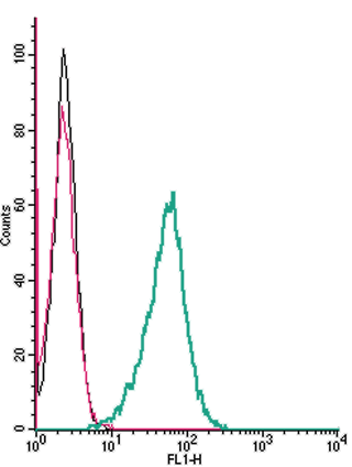 Cell surface detection of α1A-Adrenergic receptor by indirect flow cytometry in live intact mouse J774 macrophage cells:
