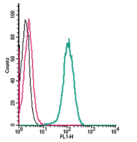 Cell surface detection of β3-Adrenergic Receptor by indirect flow cytometry in live intact human THP-1 monocytic leukemia cells: