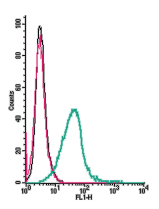 Cell surface detection of TRPV2 by indirect flow cytometry in live intact mouse BV-2 microglia cells: