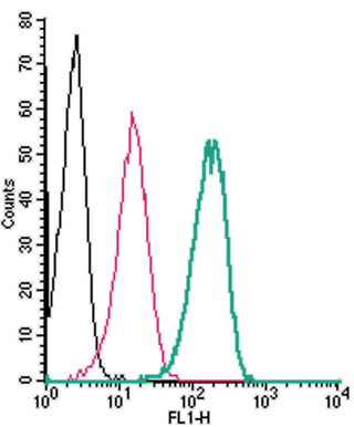 Cell surface detection of TRPM6 by indirect flow cytometry in live intact human THP-1 monocytic leukemia cells: