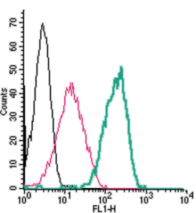 Cell surface detection of Calcium Sensing Receptor by indirect flow cytometry in live intact human THP-1 monocytic leukemia cells: