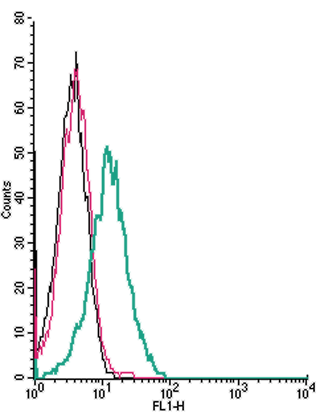 Cell surface detection of D2 dopamine receptor by indirect flow cytometry in live intact human Jurkat T-cell leukemia cells: