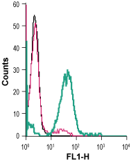 Cell surface detection of mGluR5 in live intact mouse BV-2 microglia cells: