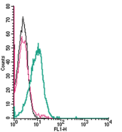 Cell surface detection of KISS1 Receptor by indirect flow cytometry in live intact human Jurkat T-cell leukemia cells: