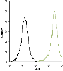 Cell surface detection of CysLTR1 in live intact THP-1 (acute monocytic leukemia) cells: