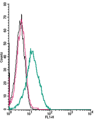 Cell surface detection of CHRM5 by indirect flow cytometry in live intact human Jurkat T-cell leukemia cells: