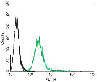 Cell surface detection of p75NTR in live intact rat glioma C6 cells: