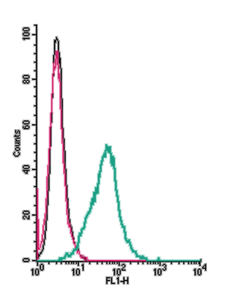 Cell surface detection of δ opioid receptor (DOR-1) by indirect flow cytometry in live intact mouse BV-2 microglia cells: