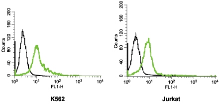 Cell surface detection of KV11.1 (HERG) in live intact K562 (human chronic myelogenous leukemia) and Jurkat (human T cell leukemia) cells: