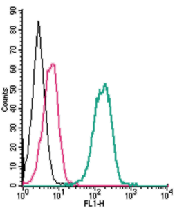 Cell surface detection of P2X7 Receptor by indirect flow cytometry in live intact human THP-1 monocytic leukemia cells:
