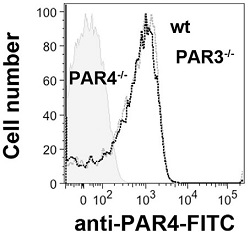 Anti-PAR4 (F2RL3) (extracellular)-FITC Antibody Anti-PAR4 (F2RL3) (extracellular)-FITC Antibody