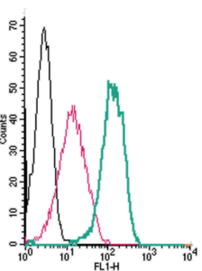 Cell surface detection of SSTR4 by indirect flow cytometry in live intact human THP-1 monocytic leukemia cells: