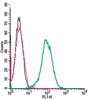 Cell surface detection of β2-Adrenergic Receptor by indirect flow cytometry in live intact mouse J774 macrophage cells: