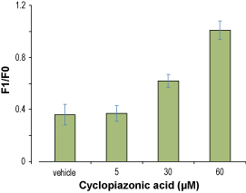 Alomone Labs Cyclopiazonic Acid increases cytosolic Ca2+ in HL60 cells.