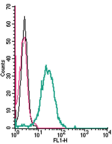 Cell surface detection of P2Y14 in live intact human THP-1 monocytic leukemia cells: