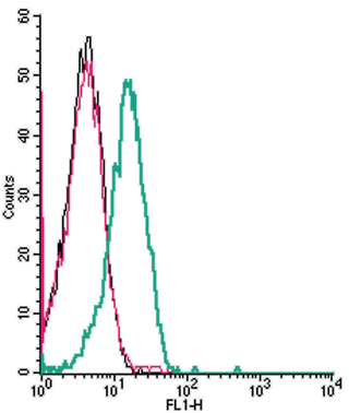 Cell surface detection of CaVα2δ2 by indirect flow cytometry in live intact human Jurkat T-cell leukemia cells: