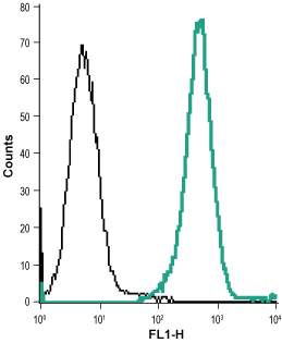 Cell surface detection of CysLTR2 in live intact acute monocytic leukemia (THP-1) cells: