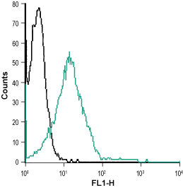 Cell surface detection of ZAC in Jurkat living cells: