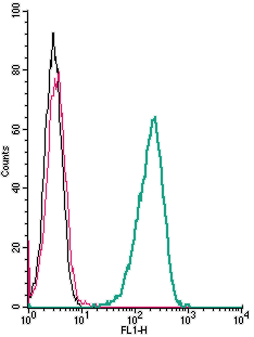 Cell surface detection of GPR40/FFAR1 by indirect flow cytometry in live intact human THP-1 monocytic leukemia cells: