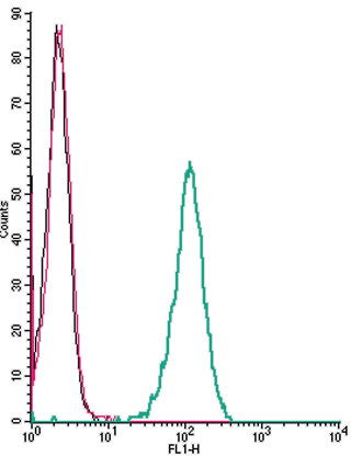 Cell surface detection of TRPC1 by indirect flow cytometry in live intact human THP-1 monocytic leukemia cells: