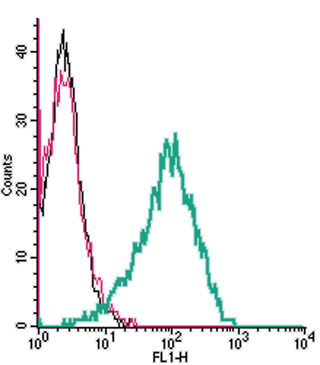 Cell surface detection of TRPC6 by indirect flow cytometry in live intact human MEG-01 megakaryocytic leukemia cells: