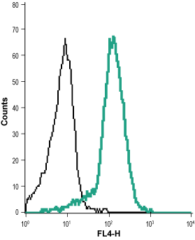Cell surface detection of KCNN4 in live intact human THP-1 acute monocytic leukemia cell line: