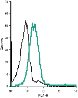 Cell surface detection of KV1.3 in live intact human Jurkat T cell leukemia cell line: