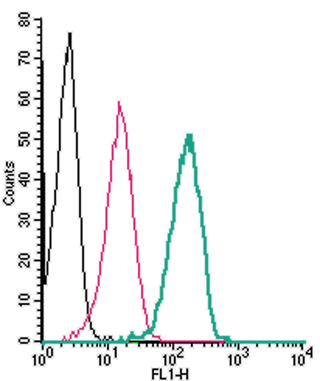 Cell surface detection of P2X4 by indirect flow cytometry in live intact human THP-1 monocytic leukemia cells: