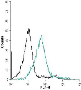 Cell surface detection of Orai1 in intact living Jurkat cells: