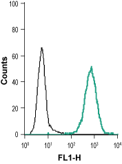 Cell surface detection of EphB1 in live intact human THP-1 monocytic leukemia cell line: