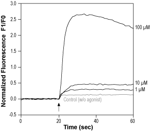 Alomone Labs OLDA activates TRPV1 channels heterologously expressed in C-6 cells.
