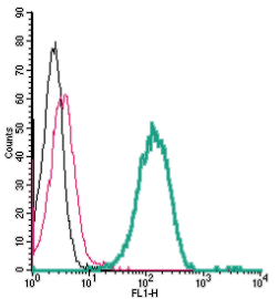 Cell surface detection of GP130/CD130 by indirect flow cytometry in live intact human THP-1 monocytic leukemia cells: