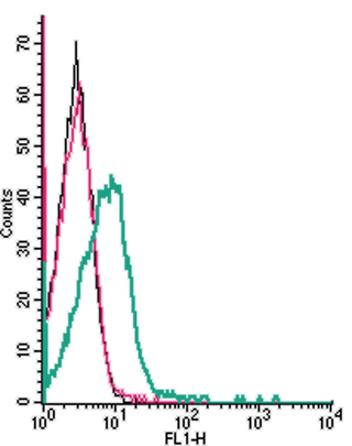 Cell surface detection of Ephrin-A1 by indirect flow cytometry in live intact human Jurkat T-cell leukemia cells: