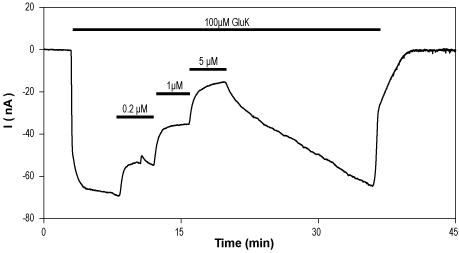 Alomone Labs Naspm trihydrochloride inhibits GluA1 channels expressed in Xenopus oocytes.