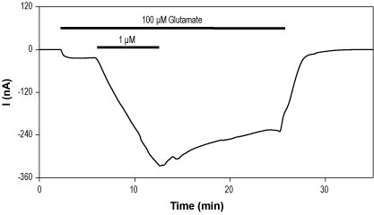 Alomone Labs CMPDA potentiates GluA1 channels expressed in Xenopus oocytes.