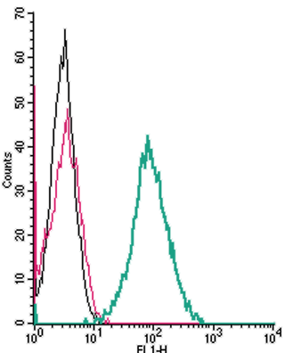 Cell surface detection of RAMP1 by indirect flow cytometry in live intact mouse J774 macrophage cells: