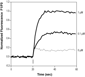 Alomone Labs Palvanil activates TRPV1 channels heterologously expressed in C6 cells.