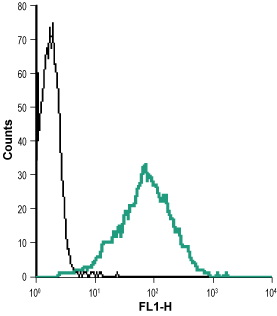 Cell surface detection of Nectin-2 in live intact human Jurkat T cell leukemia cells: