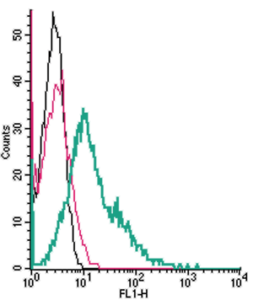 Cell surface detection of ZIP1 (SLC39A1) by indirect flow cytometry in live intact human K562 chronic myelogenous leukemia cells: