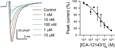 ICA 121431 ICA 121431