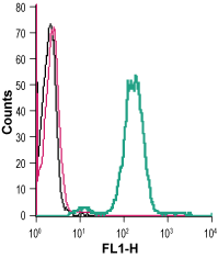 Cell surface detection of GPR4 in live intact human THP-1 monocytic leukemia cells:
