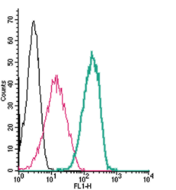 Cell surface detection of Neuroplastin by indirect flow cytometry in live intact human THP-1 monocytic leukemia cells: