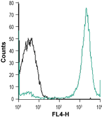 Cell surface detection of Magnesium transporter NIPA4 in THP-1 (human acute monocytic leukemia cell line) living cells: