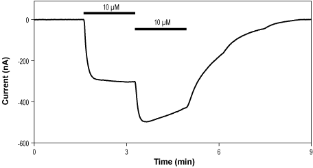 Alomone Labs (S)-AMPA activates GluA1 channels expressed in Xenopus oocytes.