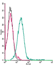 Cell surface detection of Corticotropin-releasing factor receptor 1 by indirect flow cytometry in live intact mouse P815 mastocytoma cells: