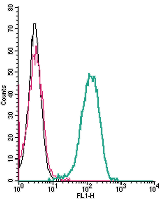 Cell surface detection of C5aR2 by indirect flow cytometry in live intact human THP-1 monocytic leukemia cells:
