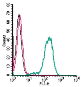 Cell surface detection of Frizzled-1 by indirect flow cytometry in live intact human THP-1 monocytic leukemia cells: