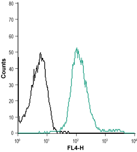 Cell surface detection of Orai1 in intact living Jurkat cells: