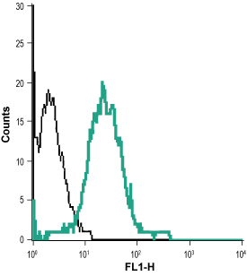 Cell surface detection of p75NTR in live intact rat pheochromocytoma (PC12) cells: